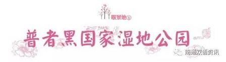 石家庄市桥西区中国旅游日宣传活动成功举办